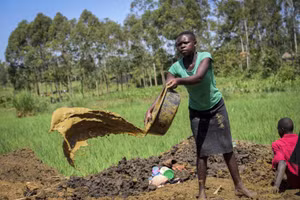 Học sinh làm thuê trong các mỏ khai thác vàng.