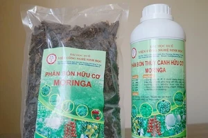 Sản phẩm từ cây chùm ngây.