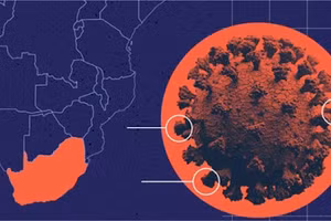 Ảnh minh họa/INT