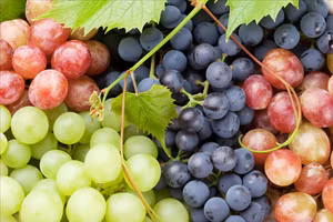 Trái nho mang lại nhiều lợi ích cho sức khỏe.