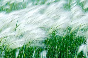 Ảnh minh họa/INT.