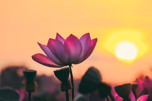 Ảnh minh họa/INT.