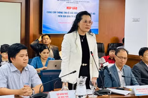 Bà Lê Thụy Mỵ Châu thông tin vụ việc Trường TH, THCS, THPT Quốc tế Mỹ.