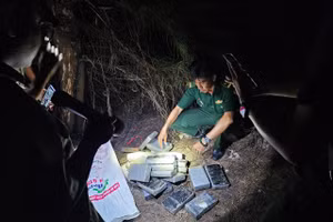 21 gói vật thể hình chữ nhật bên trong chứa chất bột màu trắng (nghi là ma túy) trôi dạt vào bờ biển TP Vũng Tàu.