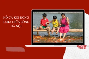 Hồ cá Koi rộng 3,5ha giữa lòng Hà Nội