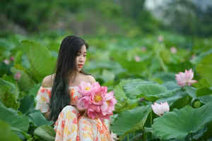 Ngắm đầm sen lâu năm bung nở giữa lòng Hà Nội