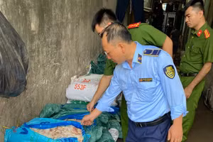 Phát hiện gần 1 tấn cánh gà đang chuyển màu tại Hà Nội