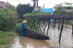 Trong đợt mưa lũ trái mùa vừa qua đã gây thiệt hại nặng cho tỉnh Thừa Thiên - Huế.