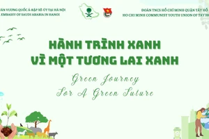 Hoạt động nhằm tôn vinh lối sống xanh, các sáng kiến, ý tưởng bảo vệ môi trường.