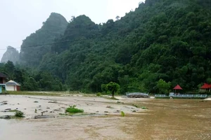 Mưa lớn gây ngập ở khu vực xã Ngọc Khê, huyện Ngọc Lặc.