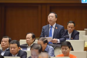 Đại biểu Lưu Bình Nhưỡng.