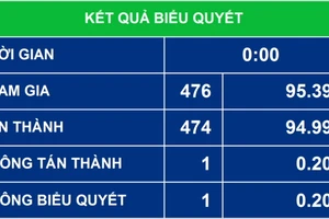 Quốc hội tiến hành biểu quyết thông qua Nghị quyết về kế hoạch đầu tư công trung hạn giai đoạn 2021-2025.