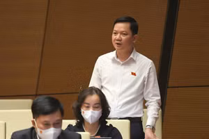 Đại biểu Trịnh Xuân An (đoàn Đồng Nai).