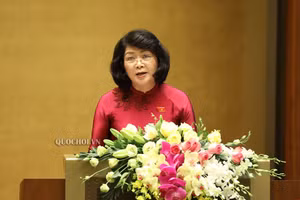 Phó Chủ tịch nước Đặng Thị Ngọc Thịnh. Ảnh Quốc hội.