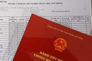 Sử dụng bằng cấp giả để được tuyển dụng (Ảnh minh họa).