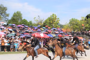 Giải đua thu hút đông đảo người dân tham gia.