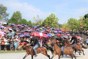 Giải đua thu hút đông đảo người dân tham gia.