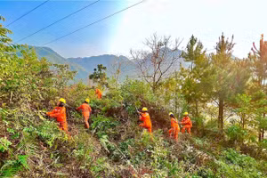 Điện lực Tân Uyên - PC lai Châu ra quân phát quang hành lang lưới điện.