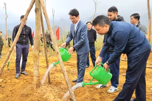 Các đại biểu tham gia trồng cây sau Lễ phát động "Tết trồng cây".