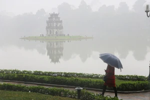 Ảnh minh hoạ.