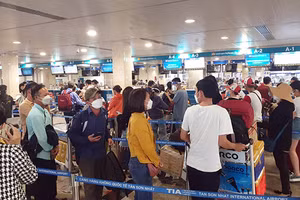 Bộ Giao thông vận tải yêu cầu làm rõ giá vé máy bay đi Thành phố Hồ Chí Minh tăng cao sau Tết.