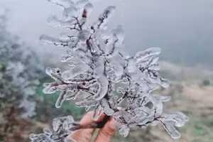 Băng giá xuất hiện ở Y Tý (Lào Cai) ngày 21/2.