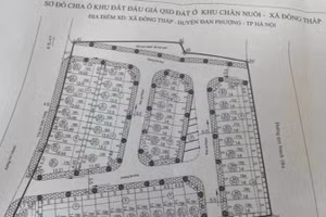 Sơ đồ 48 thửa đất được đưa ra đấu giá ở khu chăn nuôi xã Đồng Tháp (huyện Đan Phượng, Hà Nội).