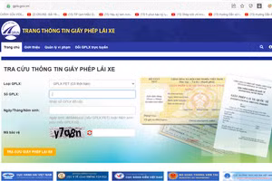Trang website tra cứu thông tin về GPLX chính thống của Tổng cục Đường bộ Việt Nam.