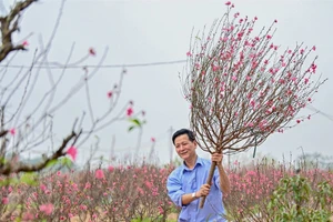 Ảnh minh hoạ.