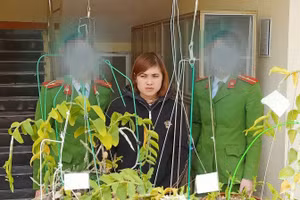 Tạ Thị Suối Vân thời điểm bị bắt giữ cùng tang vật của vụ án.