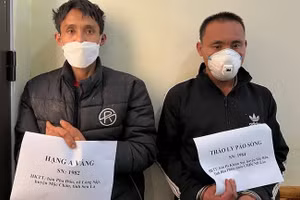 Hai đối tượng có hành vi vận chuyển trái phép số lượng lớn ma tuý.