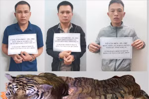 3 đối tượng có hành vi vận chuyển cá thể hổ đi tiêu thụ.