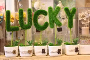 Người may mắn đủ đường, người bị vận xui bủa vây trong tuần mới