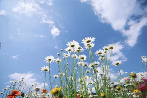 Điểm danh những con giáp ôm trọn tài lộc trong ngày rằm tháng 11