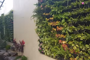 Bức tường đứng cho thêm sinh khí trong gia đình 