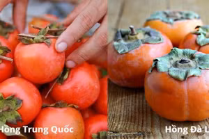 Hãy lựa chọn quả hồng ngon giòn cho cả gia đình (hình minh họa) 