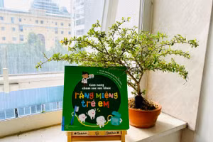 Cẩm nang chăm sóc sức khỏe răng miệng trẻ em