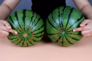 'Bí kíp' chọn mua dưa hấu ngọt lịm cho mùa hè nóng bức