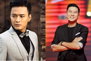 Hồ Hoài Anh, Hồng Đăng đã về Việt Nam