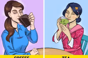 Nên uống bao nhiêu trà mỗi ngày thì tốt? 