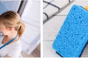 Miếng bọt biển nhúng nước để trong tủ lạnh có tác dụng giữ thực phẩm tươi hơn (hình minh họa).