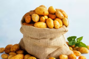 Cần bảo quản khoai tây đúng cách để sử dụng hiệu quả (hình minh họa) 