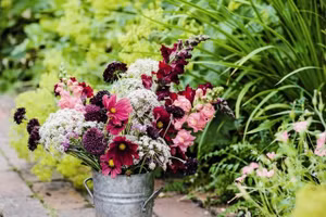 6 con giáp mở cửa đón Thần tài, công việc vô cùng suôn sẻ trong tuần mới