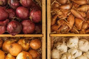 Cách bảo quản một số loại rau củ, trái cây tươi ngon trong nhiều tháng