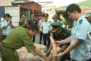 Lực lượng chức năng kiểm tra, bắt giữ số ngà voi và sừng tê giác (Ảnh minh họa).