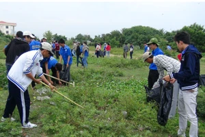 Thanh niên ra quân vệ sinh môi trường (Ảnh Báo Ninh Thuận).