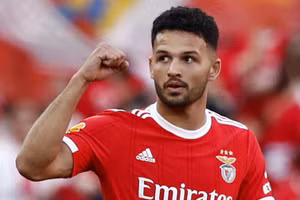 Goncalo Ramos lọt tầm ngắm của Man United.