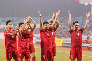 Tuyển Việt Nam được kỳ vọng sẽ đánh bại Thái Lan và vô địch AFF Cup.