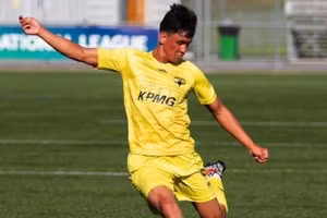 Kaelin Nguyễn Trương Khôi xin quốc tịch Việt Nam.