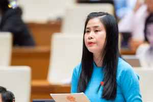 Đại biểu Đặng Thị Bảo Trinh (Quảng Nam).